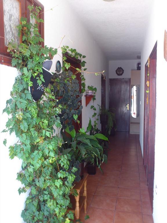 Apartment Leona Senj  Luaran gambar