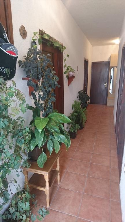 Apartment Leona Senj  Luaran gambar